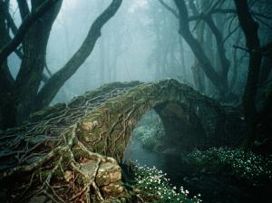 Bridge of the Lost